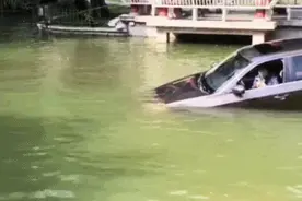 上海六旬阿姨小区内驾车冲进水里！落水后自行脱困，有人被撞到……图片