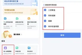 关于收入纳税明细查询的常见疑问大解答！图片