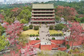 “羊城八景”评选再续千年之约，今天请你投上一票！图片