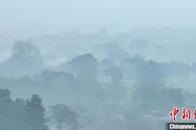 浙江杭州：良渚古城遗址公园晨雾飘渺如水墨画卷图片