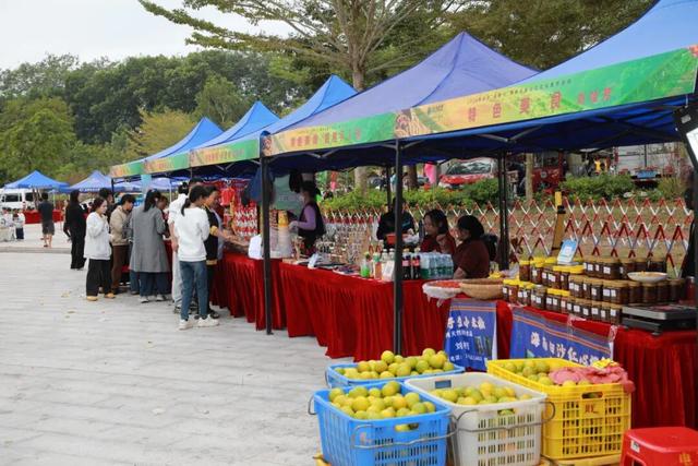 多图+视频！一起回看2025年白沙“啦奥门”雨林与您山兰文化活动精彩瞬间