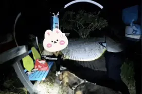 立大功！房山一小孩离家出走后失联，警方出动警犬寻获图片