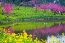 春色（125） | 上游主题摄影征稿作品展——陈金凤作品图片