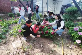 全国先进工作者杨红梅坚守乡村教学一线——点燃乡村孩子的科学梦图片