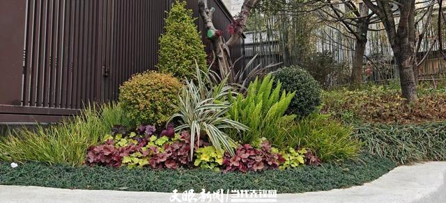 【生态文化】数量全省第一!贵阳230个口袋公园让“千园之城” 添新景