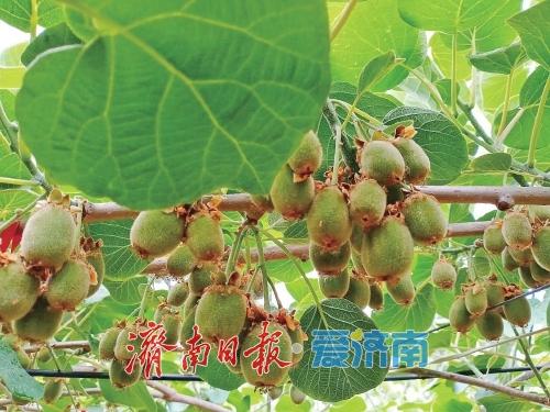 中秋+国庆双节buff！金秋来济南打开避世小众玩法