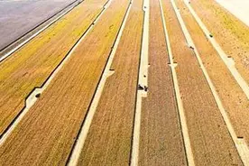 一座农场的绿色转型（绿色转型新图景）图片