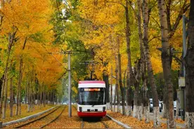 东北一家亲，下站去长春？图片