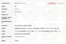 因发票违法，嘉行传媒旗下嘉行星光（重庆）影视文化有限公司被罚图片