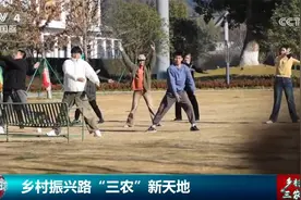 “数字游民”为乡村扩大“朋友圈” 新业态蓬勃兴起打造“三农”新天地图片