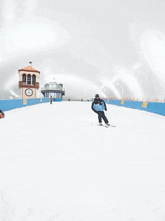 直降70元！龙华这片魔法森林焕新升级