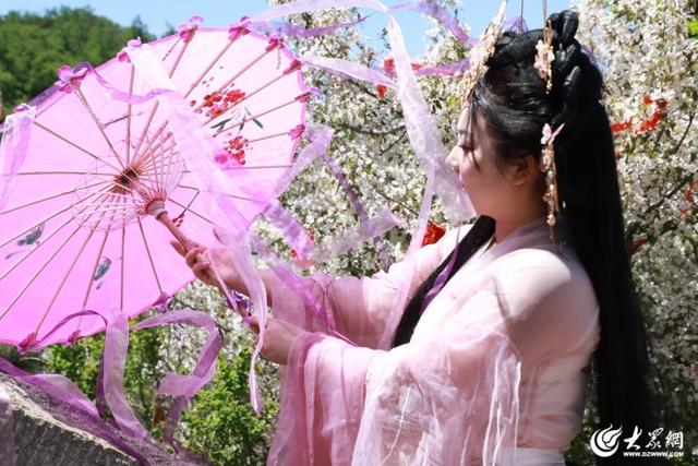 海棠映岱宗 汉服耀山巅 封禅12花神与百名汉服爱好者齐聚泰山巡游