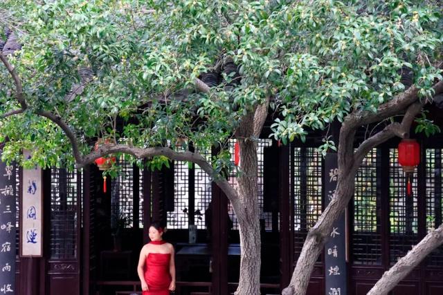 这声“对不起”，泰州人等了半个月！