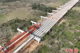 （经济观察）海南自贸港封关之年拼开局图片