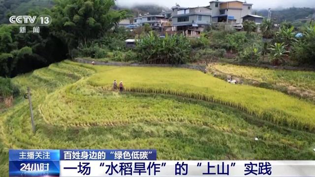 人走场净、骑行旅游、水稻旱作 “绿色低碳”融入生活