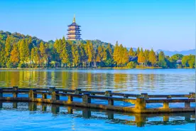 周末西湖景区赏桂“大军”来袭，这份出行攻略请收好图片