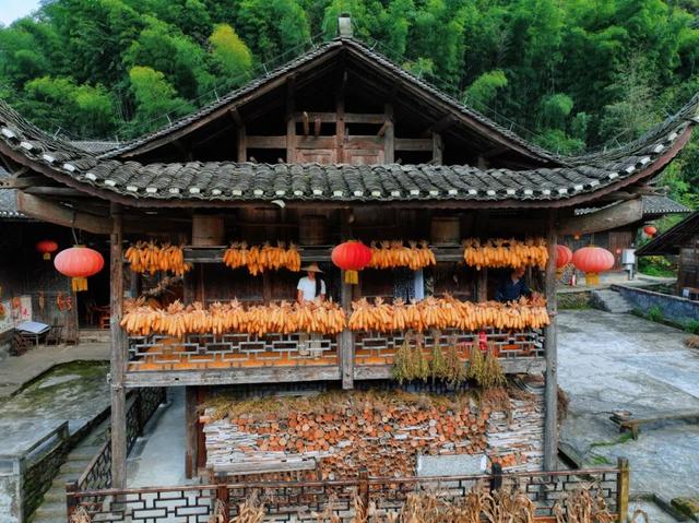 吊脚楼上晒秋光，彭家寨里慢尝烟火人间