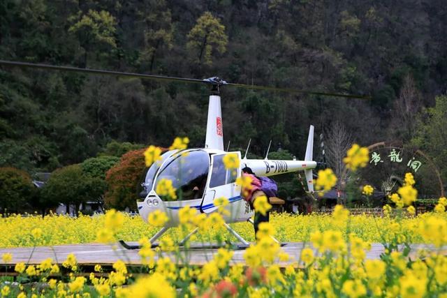 入境游持续升温！祥源文旅旗下景区火爆出圈，迎客全球