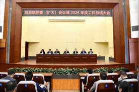 东莞凤岗深度参与新阶段大湾区建设，开辟高质量发展新天地图片