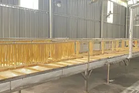 清远佛冈：厂房升级改造，助力“湴江腐竹”产业发展图片