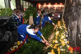 岳麓山上缅怀先烈图片