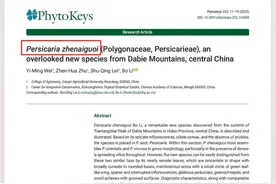 这一次，用他的名字命名图片