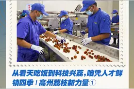 一周精读|从看天吃饭到科技兴荔；龙舟竞渡“享李季”图片