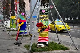 有颜值有温度 重庆路边大树“穿”上彩色“毛衣”图片