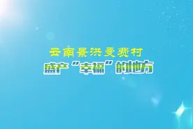 沿着边境看中国｜云南景洪曼费村：盛产“幸福”的地方图片