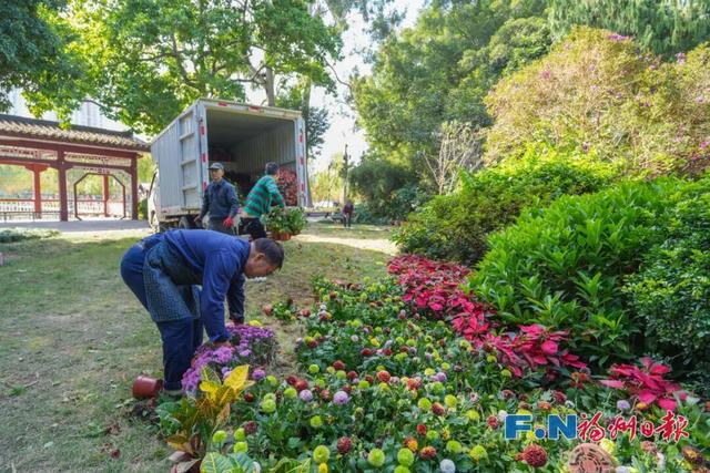 2万多株！福州西湖又上新！