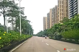 加快完善城市交通规划体系图片