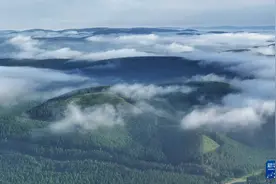 塞罕坝：浩瀚林海壮美如画图片