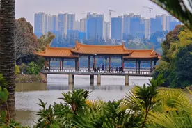 146天“超长春季” 这样玩转昆明图片