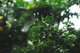 较强降水！长治发布重要天气预报图片