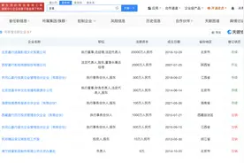 揭秘嘉行创始人曾嘉商业版图 嘉行创始人名下217万股权被冻结图片