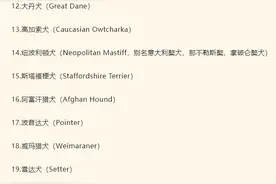 深圳规定：犬只不能进入公园，11座宠物友好公园除外图片