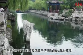 果然视频|济南降雨结束护城河泉水重新蓄满，泉水景色迷醉游客图片