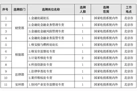 【社招】国家电力投资集团有限公司总部人员社会化公开选聘公告图片