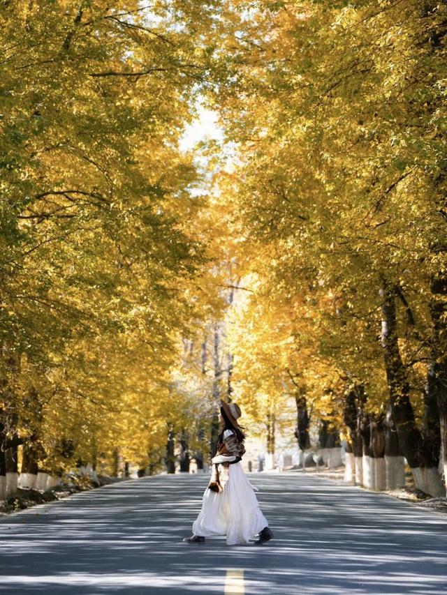 美上央视的秋景，这十条路线请你选！