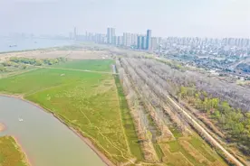 芜湖：春风又绿江南岸图片