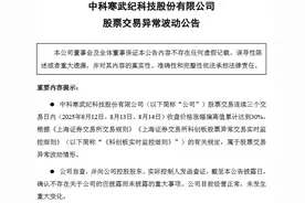 V观财报｜寒武纪股价创新高，“在某厂商预定大量载板订单等信息不实”图片