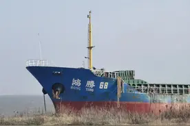 长兴岛搁浅船只成了“网红打卡地”？这些行为很危险！图片