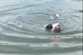 在杭州西湖救下落水女子，内蒙古退休记者希德夫获单位表彰图片