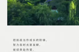 晚安｜把挑战当作成长的阶梯，努力在时光里发酵，继续奔赴热爱图片