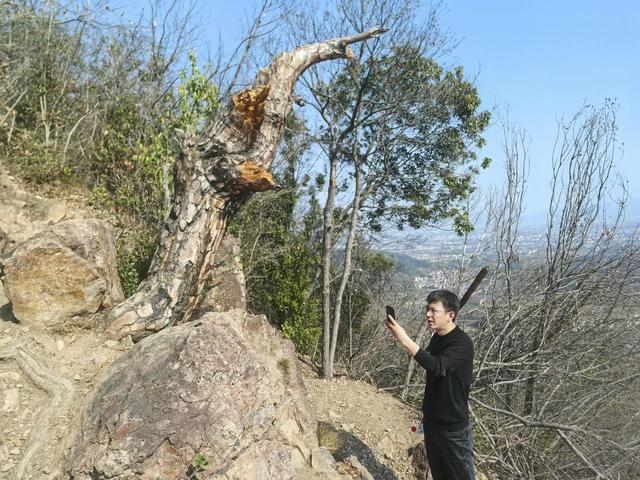 写点生活｜春日登高尖峰山