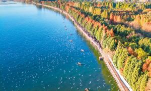 昆明冬日绿意暖