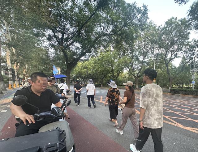 乱！公园设免费停车场，旅游大巴为何还占路停车上下客？