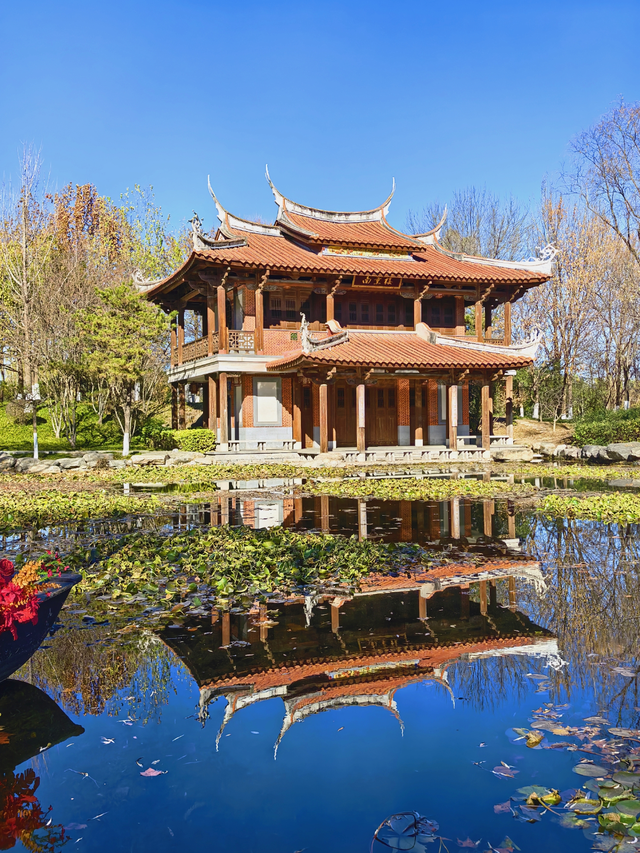 园博园初冬，赴一场静美之约