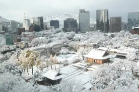 韩国首尔遇百年来11月最大降雪  全国数百航班受影响图片