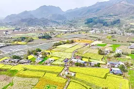 四川绵竹：从“一季花”到“四季春” 绘就魅力乡村新画卷图片